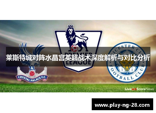 莱斯特城对阵水晶宫英超战术深度解析与对比分析 莱斯特城对阵水晶宫英超战术深度解析与对比分析