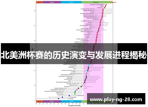 北美洲杯赛的历史演变与发展进程揭秘