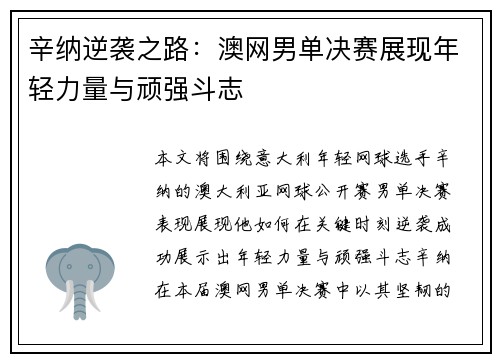 辛纳逆袭之路：澳网男单决赛展现年轻力量与顽强斗志