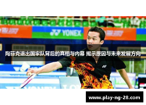 陶菲克退出国家队背后的真相与内幕 揭示原因与未来发展方向