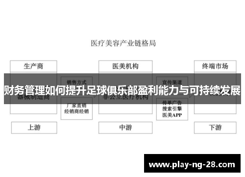 财务管理如何提升足球俱乐部盈利能力与可持续发展