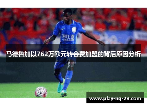 马德鲁加以762万欧元转会费加盟的背后原因分析